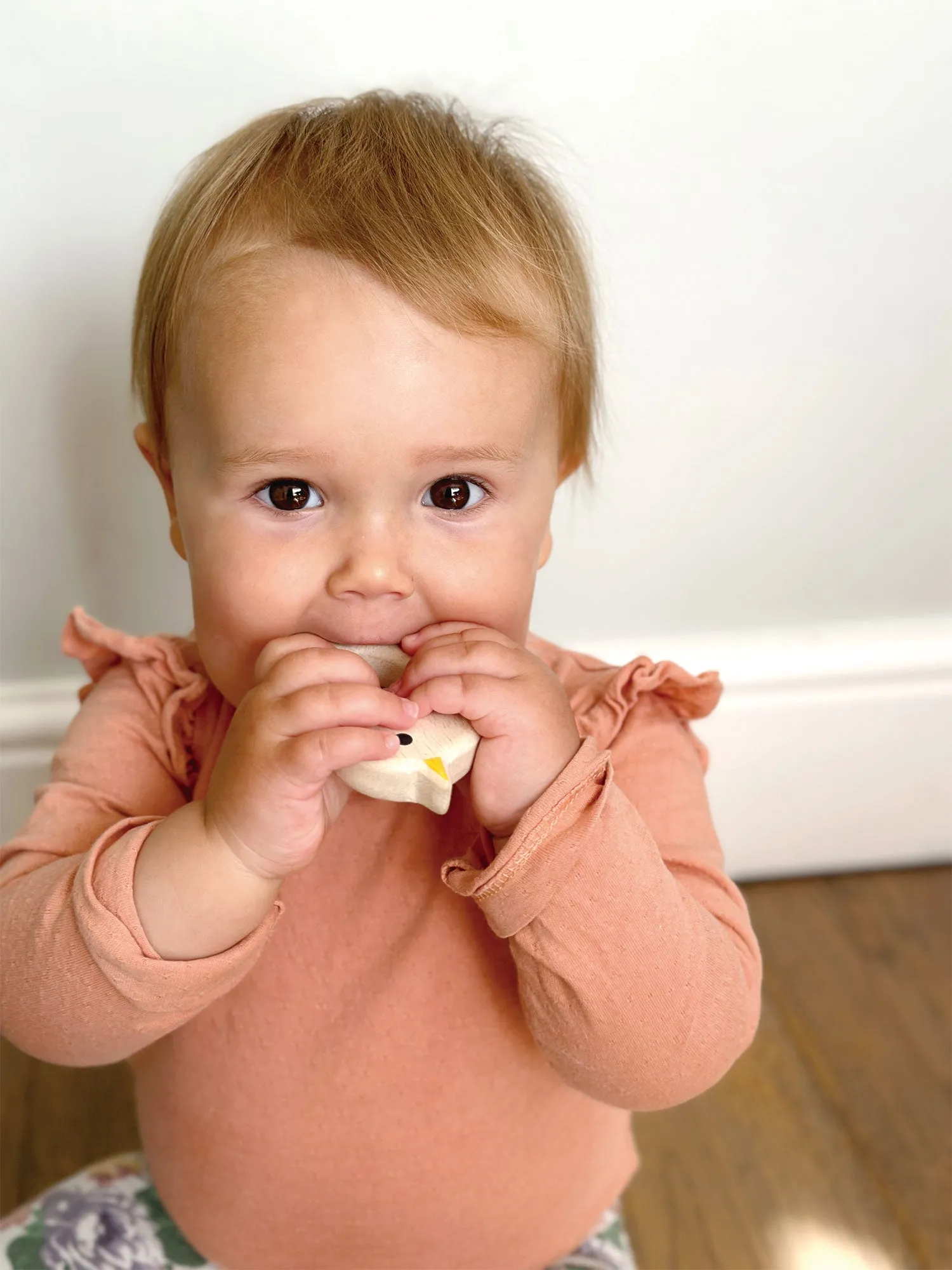 Baby Toy Bundle
