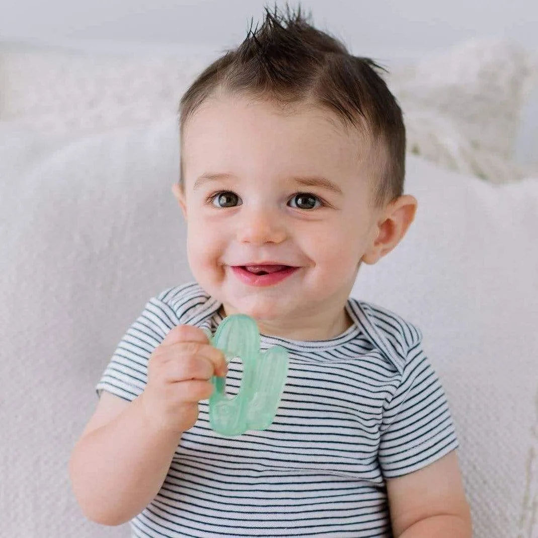 Cutie Coolers™ Cactus Water Teethers (3-pack)